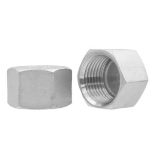 3/4" Hex cap stainless steel