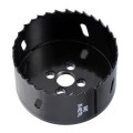 Otwornica kobaltowa M42-1.jpg