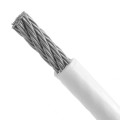 lina 7x7.jpg