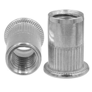 Flat Head Rivet Nuts knurled body A2 M10 Long